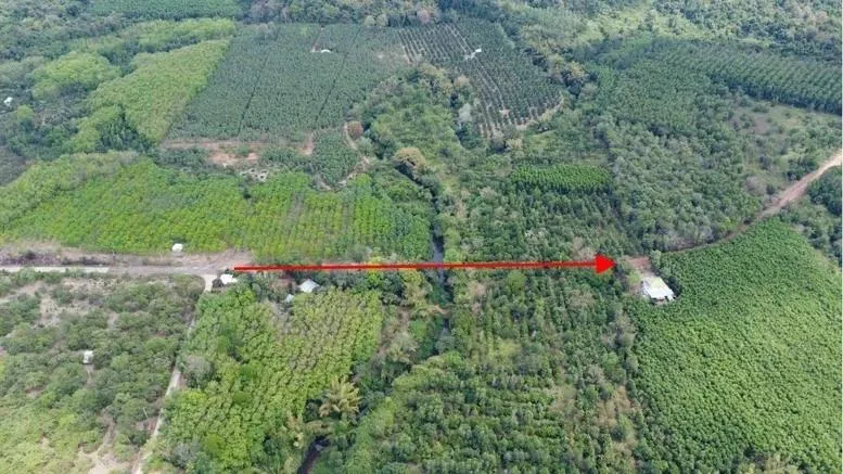 Tỉnh Đồng Nai và Bình Phước thống nhất lựa chọn phương án kết nối từ thành phố Đồng Xoài đi theo đường tỉnh ĐT.753, qua cầu Mã Đà sang địa phận tỉnh Đồng Nai. (Nguồn: Báo Điện tử Chính phủ) 