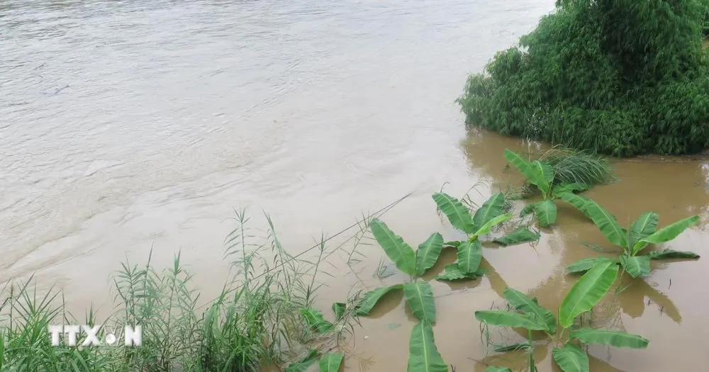 Cảnh báo lũ trên các sông từ Quảng Bình đến Quảng Ngãi