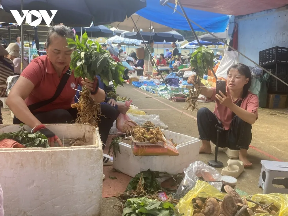 Cùng với bán hàng truyền thống, các loại nông sản quý, đặc sản vùng cao được bán theo hình thức livestream