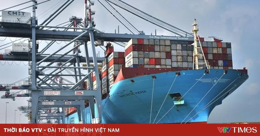 Thành lập hội đồng thẩm định chủ trương dự án cảng Cái Mép Hạ