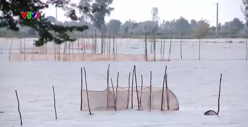 Nước lũ về sớm tại ĐBSCL