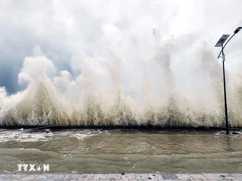 Quản chặt tàu thuyền ứng phó áp thấp nhiệt đới trên Biển Đông
