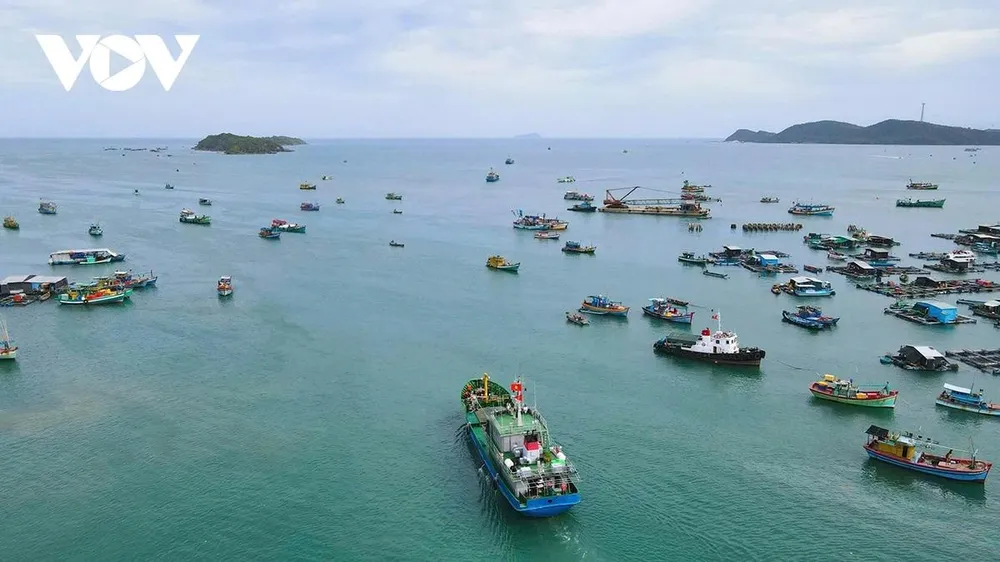 An Giang chủ động ứng phó với bão số 5, đảm bảo an toàn cho các tàu vận tải trên sông, trên biển.