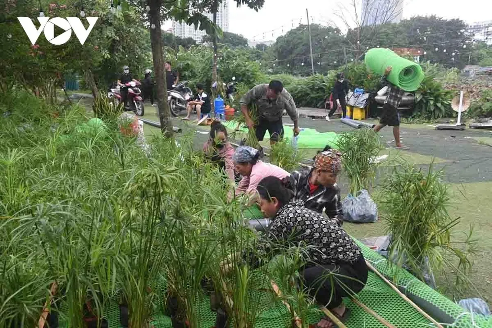 Bè thủy sinh kết hợp với đê lọc sinh học có chức năng hướng dòng, nâng cao chất lượng xử lý nước