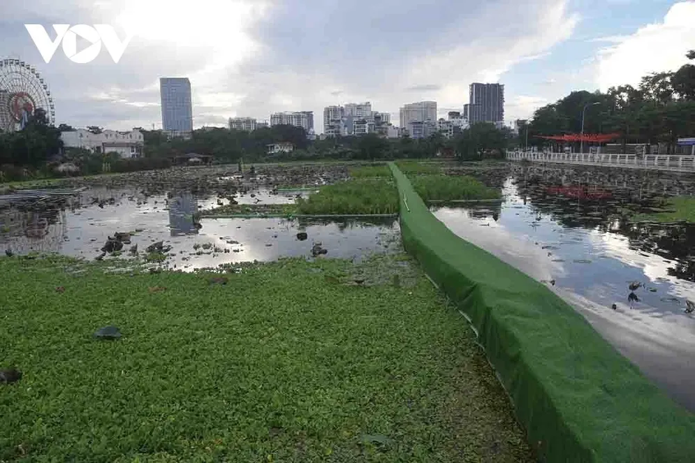 Đây là dự án thí điểm xây dựng, lắp đặt thử nghiệm bãi lọc trồng cây ngập nước để bổ cập nước từ Nhà máy xử lý nước thải Hồ Tây vào Hồ Tây, sau đó bổ cập nước làm sạch và tạo dòng cho sông Tô Lịch