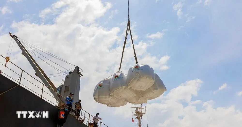 Giá gạo xuất khẩu của Việt Nam tuần này đã chạm mức cao nhất kể từ đầu năm. (Ảnh: Công Mạo/TTXVN) 