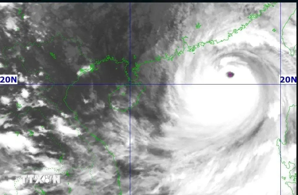 Quân đội chủ động biện pháp ứng phó bão số 9 ở mức cao nhất