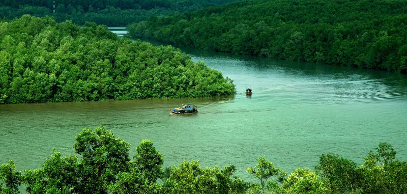Rừng ngập mặn Cần Giờ là khu dự trữ sinh quyển thế giới đầu tiên tại Việt Nam được UNESCO công nhận.
