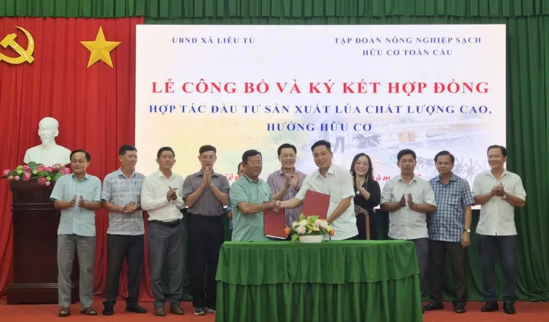 Doanh nghiệp và các hợp tác xã ký kết sản xuất lúa chất lượng cao, hữu cơ