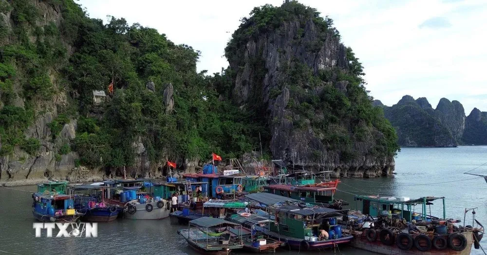 Các địa phương gấp rút kiểm đếm tàu thuyền ứng phó bão số 11