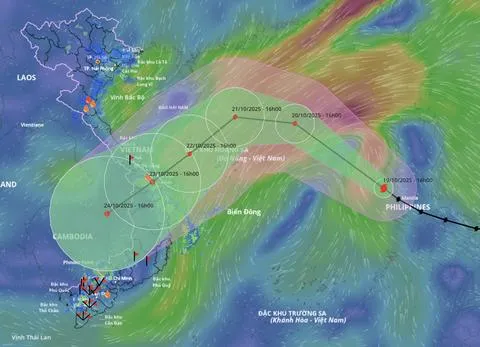 Hà Tĩnh đến Quảng Ngãi chủ động ứng phó với mưa lớn do ảnh hưởng bão số 12