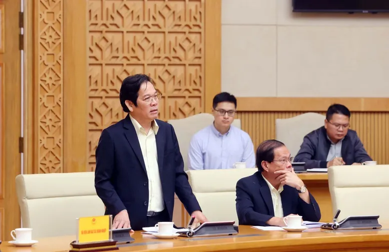 Phó Tổng Giám đốc CTCP Tập đoàn Trường Hải Nguyễn Hoàng Tuệ phát biểu tại cuộc họp - Ảnh: VGP/Nguyễn Hoàng