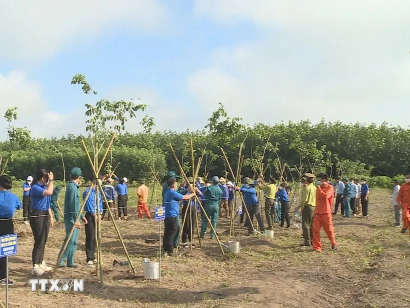 Việt Nam trồng được hơn 1,4 tỷ cây xanh trong 5 năm qua