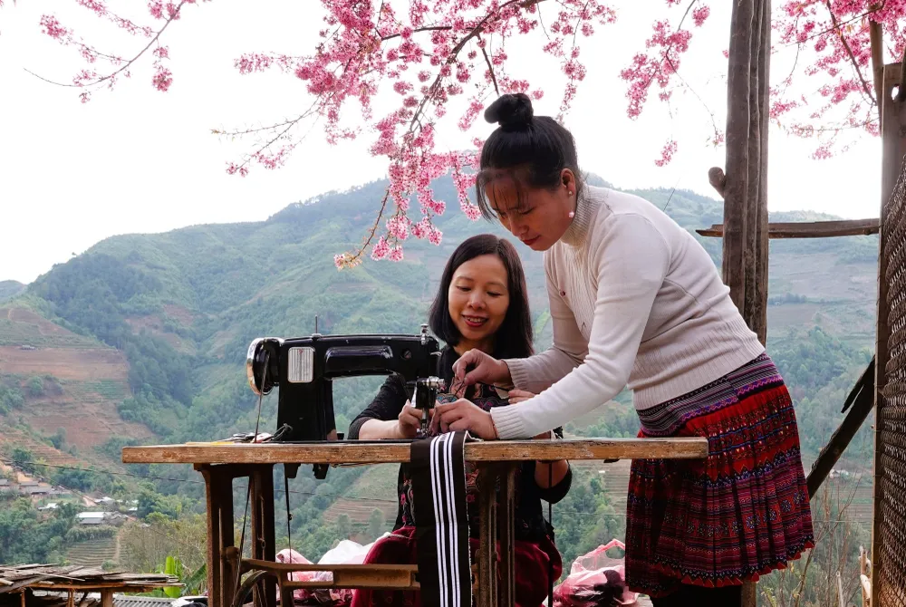 Hoa Tớ Dày được người dân vùng cao Mù Cang Chải trồng quanh nhà.