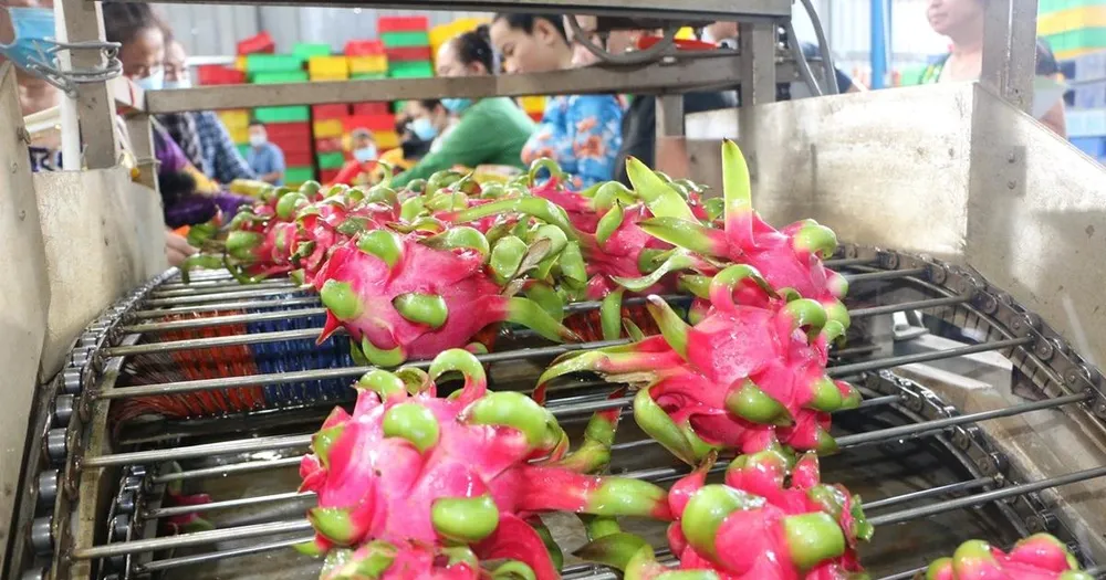 TPHCM: Chuyển đổi từ tư duy sản xuất sang kinh tế nông nghiệp hiện đại