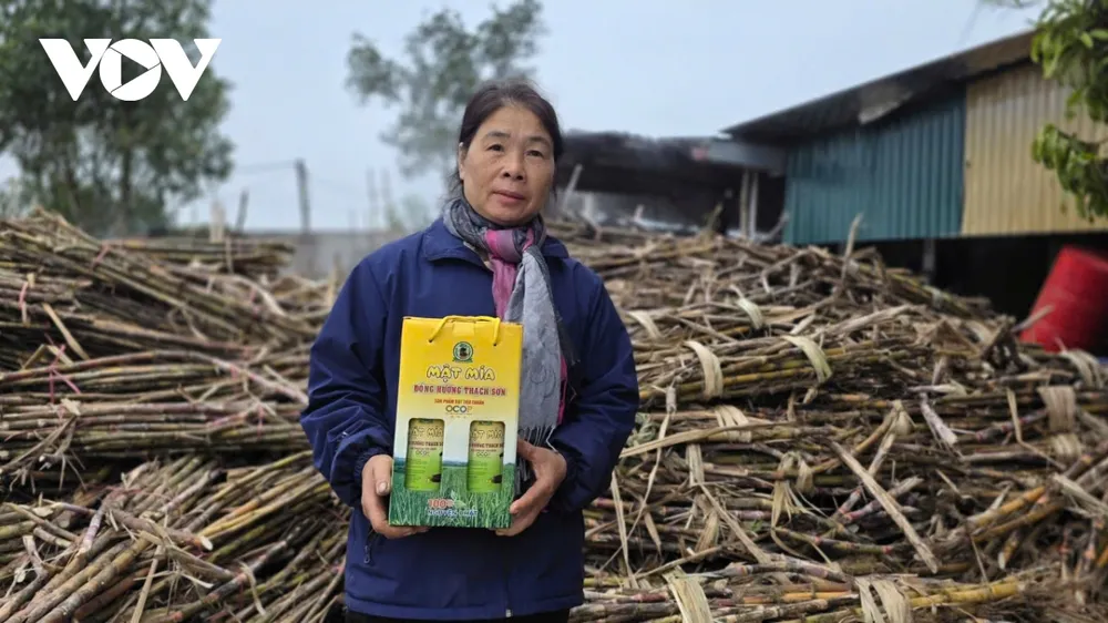 Nhằm nâng cao giá trị và khẳng định uy tín cho sản phẩm địa phương, UBND xã Thạch Bình đã giao Hội Liên hiệp Phụ nữ phối hợp với các ban ngành hướng dẫn các hộ sản xuất tuân thủ nghiêm ngặt quy trình an toàn vệ sinh thực phẩm. Sự quan tâm sát sao của chính quyền cùng các chính sách khuyến khích phát triển nghề truyền thống đã tạo điều kiện thuận lợi để người dân yên tâm giữ nghề.