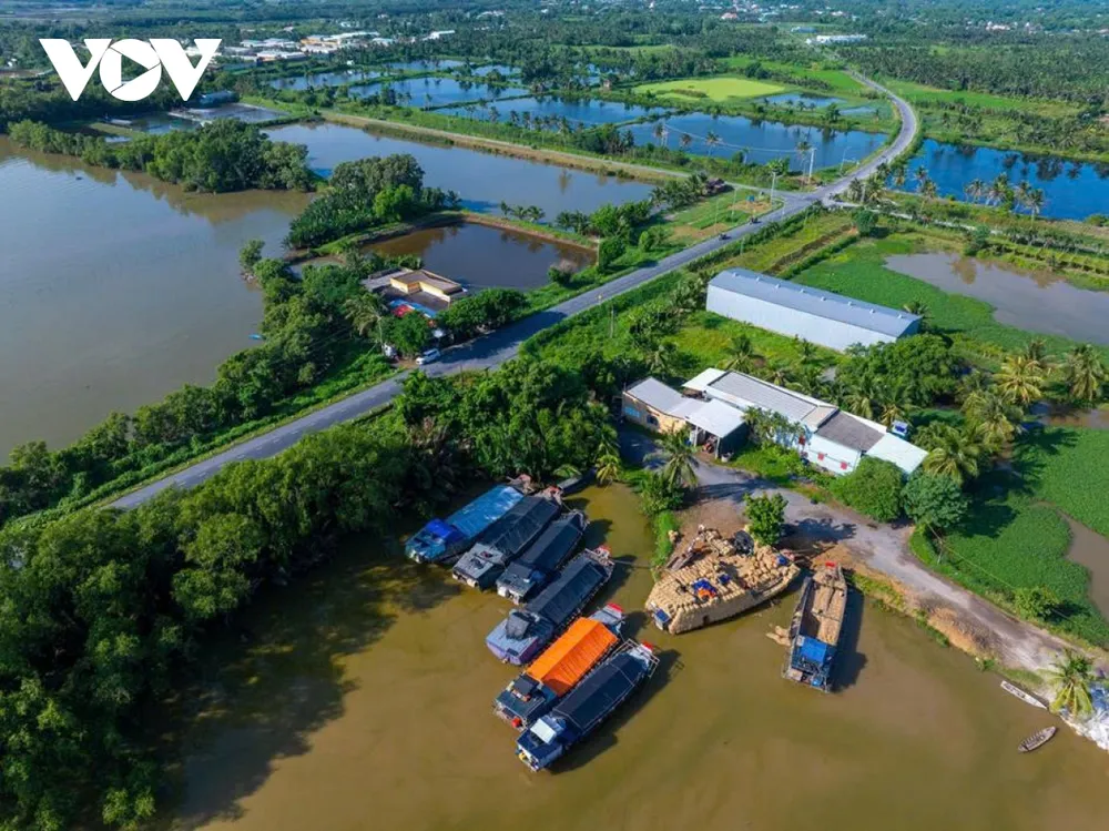 Từ những sợi rơm tưởng chừng bỏ đi sau mùa gặt, chợ rơm Ba Lai đã hình thành nên một chuỗi giá trị bền vững. Giữa nhịp sống hiện đại và máy móc ngày càng nhiều, bến chợ ven sông ấy vẫn giữ nguyên hơi thở lao động mộc mạc, nuôi dưỡng sinh kế và hy vọng cho người dân miền Tây mỗi độ xuân về.