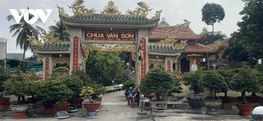 Trong không khí se lạnh những ngày giáp Tết, nhiều tuyến đường lớn của TPHCM, đặc biệt là khu vực cửa ngõ và các trục giao thông chính đã xuất hiện dày đặc các điểm bán cây cảnh. Trong đó, mai vàng vẫn là mặt hàng chủ lực, chiếm phần lớn diện tích trưng bày tại các nhà vườn.