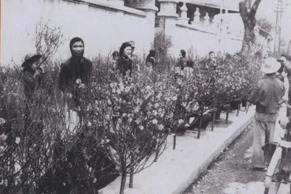 Chợ hoa Tết hàng Lược được hình thành từ những năm đầu thế kỉ XX, là chợ hoa lâu đời nhất Hà Nội thể hiện đậm nét văn hóa của người Tràng An. Mỗi năm chợ chỉ họp vào một dịp duy nhất, bắt đầu từ rằm tháng Chạp đến chiều cuối cùng trong năm. Nơi đây không chỉ có kẻ mua, người bán cành đào, cây quất, mà còn là nơi lưu giữ ký ức truyền thống, cảm nhận hương vị Tết cổ truyền của người Hà Nội trong những ngày cuối năm. (Ảnh: Cảnh nhộn nhịp ở chợ hoa Hàng Lược ngày cận Tết thập niên 90 của thế kỷ trước được hai nhiếp ảnh gia Steve Raymer và Nevada Wier ghi lại)