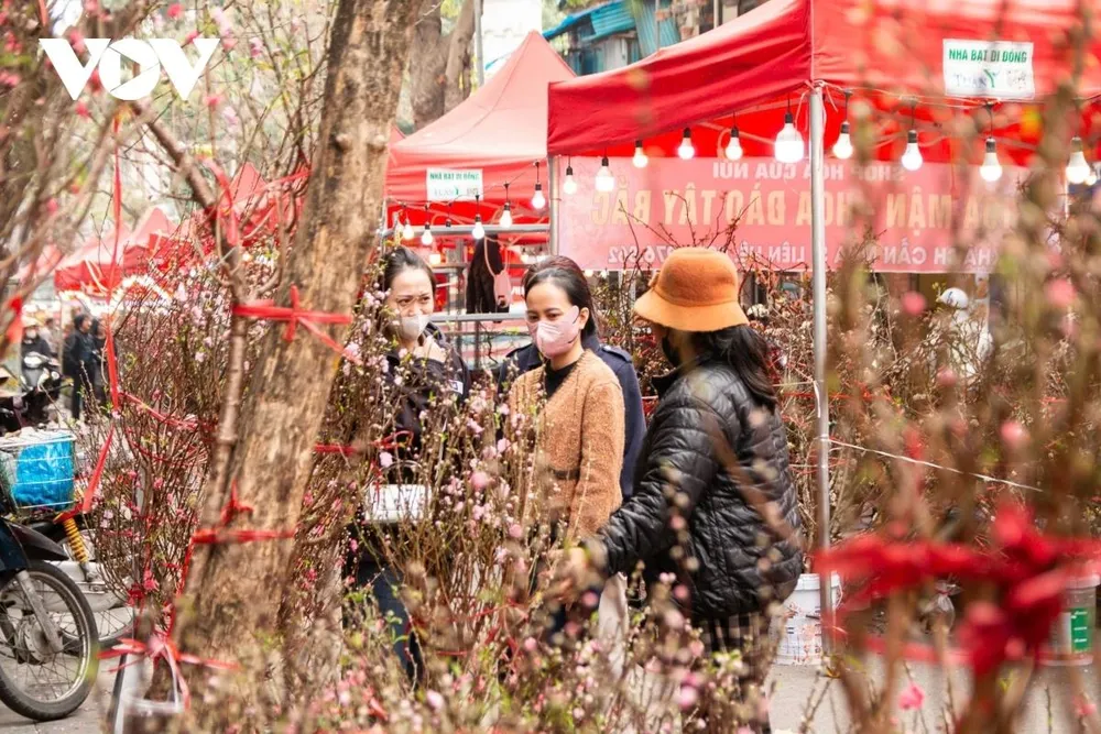 Chợ hoa ngày nay vẫn chủ yếu bày bán hoa đào, song mẫu mã ngày càng đa dạng, từ đào huyền, đào thất thốn đến nhiều dáng thế khác nhau.