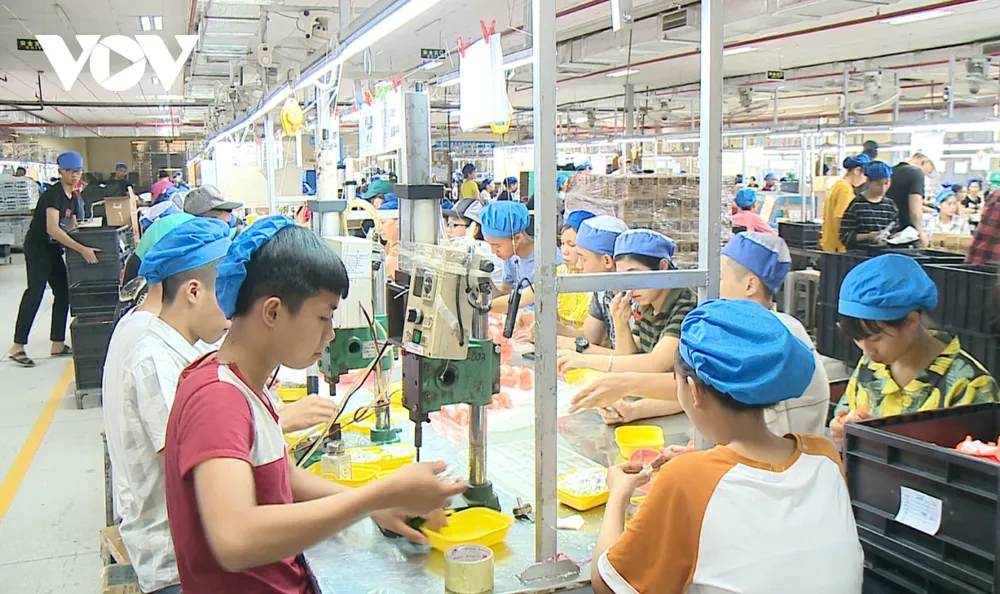 Ứng dụng khoa học, công nghệ là yếu tố then chốt, quyết định khả năng tồn tại và phát triển của doanh nghiệp