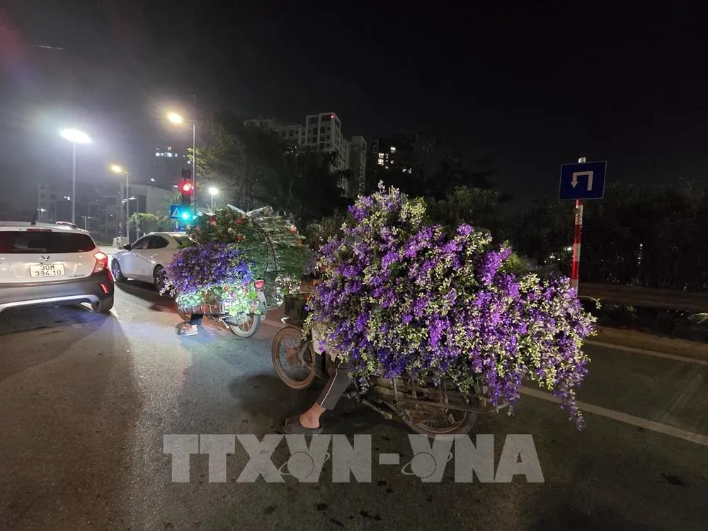 Những xe hoa hướng về chợ Quảng An phục vụ người dân trong dịp Tết. Ảnh: Nguyễn Cúc-TTXVN