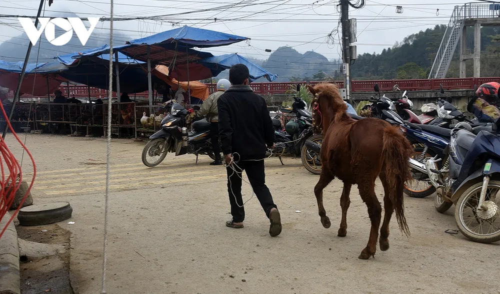 Gần 12h trưa, chợ thưa dần, người dắt ngựa rời chợ, trở lại con đường cũ chờ đến phiên chợ sau.