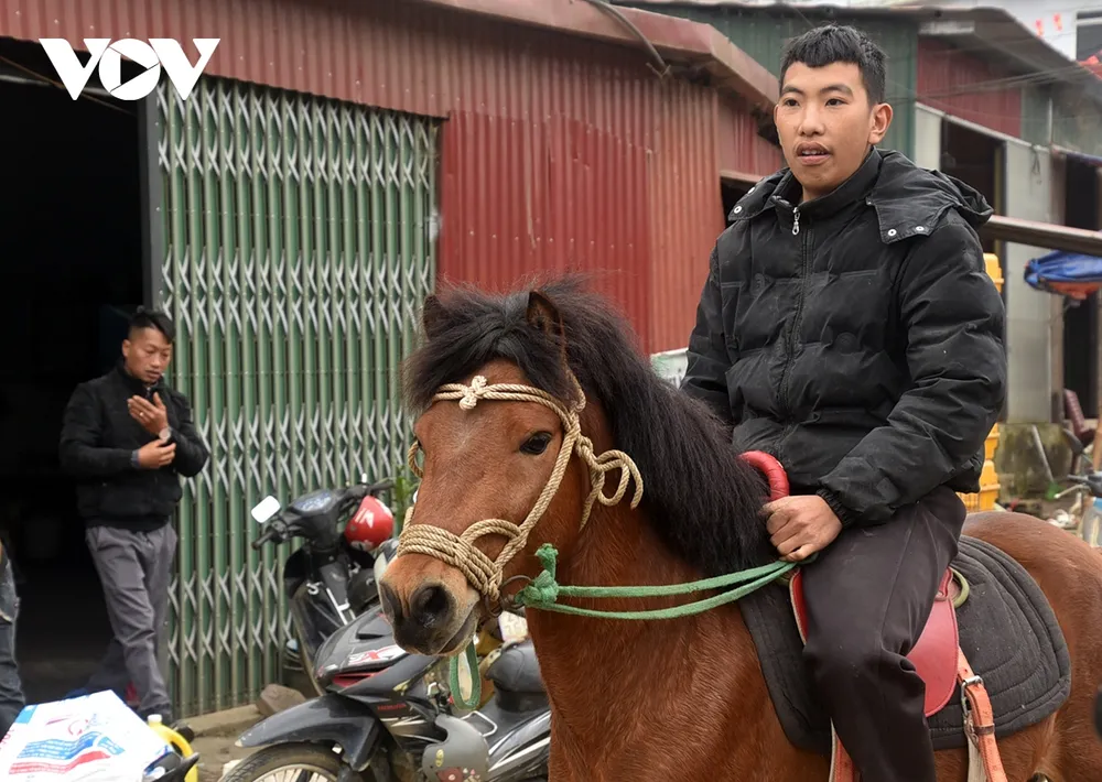 Một chàng trai cưỡi ngựa xuống chơi chợ.
