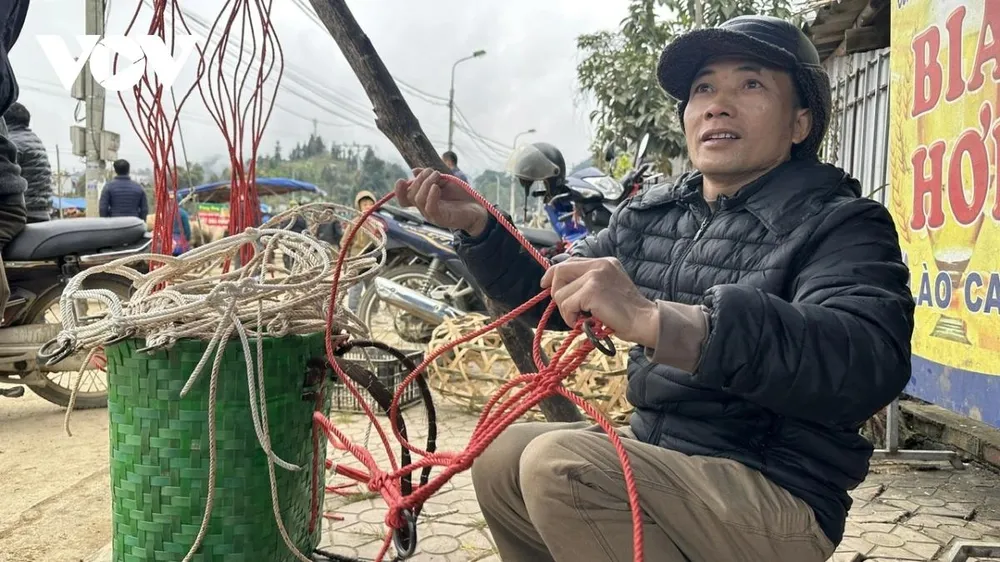 Theo anh Vàng Văn Chẻ, người nhiều năm gắn bó với chợ ngựa, việc chọn ngựa lấy thịt không chỉ nhìn vóc dáng mà phải xem răng để đoán tuổi. Ngựa đã thay một răng, vào khoảng 4 năm tuổi, được coi là thời điểm cho thịt ngon nhất. Ngựa khỏe hay bệnh cũng lộ ra ở những chi tiết nhỏ: dịch mũi là dấu hiệu dễ nhận biết. Khi cho ngựa uống nước, cần phải giữ yên lặng, bởi chỉ một tiếng động mạnh cũng có thể khiến ngựa hoảng, sặc nước rồi sinh bệnh.