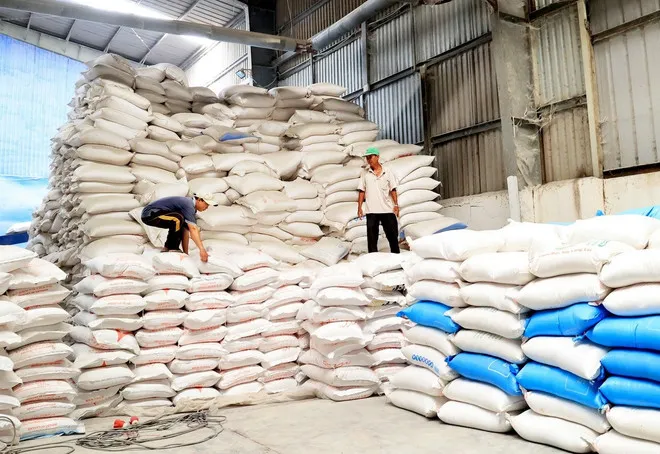 Kho gạo xuất khẩu tại Công ty Trách nhiệm hữu hạn Dương Vũ. (Ảnh: Hồng Đạt/TTXVN)