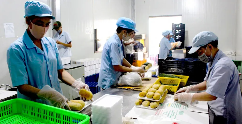 Củng cố nền tảng nội sinh để gia tăng sức chống chịu nền kinh tế