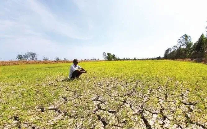 Xâm nhập mặn miền Tây tăng cao đến hết tháng 3