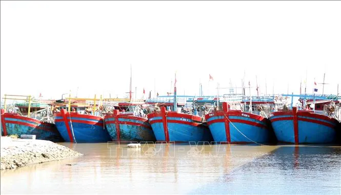 Xử lý dứt điểm 11 vấn đề IUU trước ngày 19-4