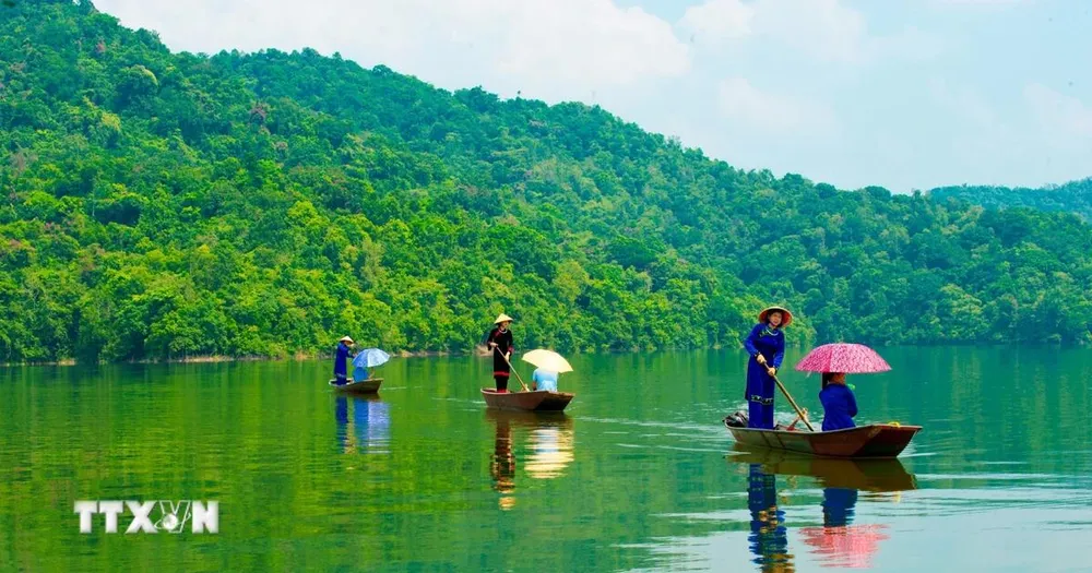 1.900 tỷ đồng để bảo tồn, quản lý rừng bền vững