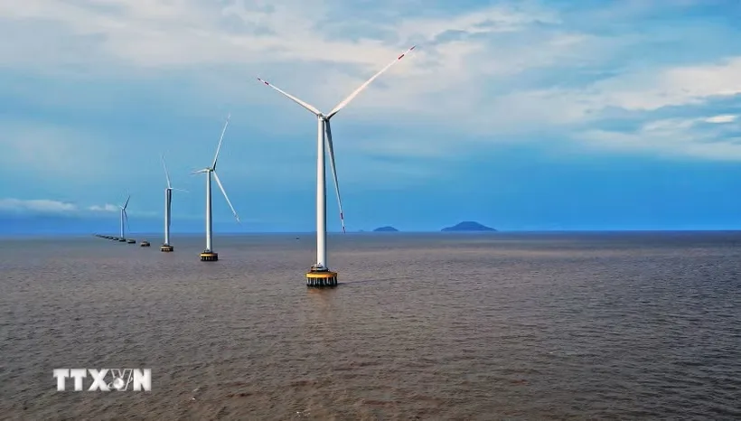 Điện gió Cà Mau. (Ảnh: Huỳnh Anh/TTXVN)
