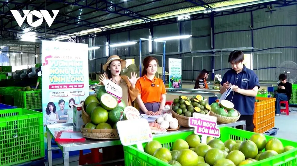 Nghịch lý 84% hộ kinh doanh vẫn 'sợ' lớn