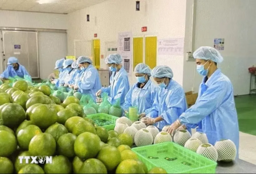 Doanh nghiệp nâng tầm năng lực mới cạnh tranh quốc tế