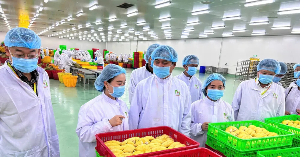 Xuất khẩu nông, lâm, thủy sản theo hướng an toàn, chất lượng, bền vững