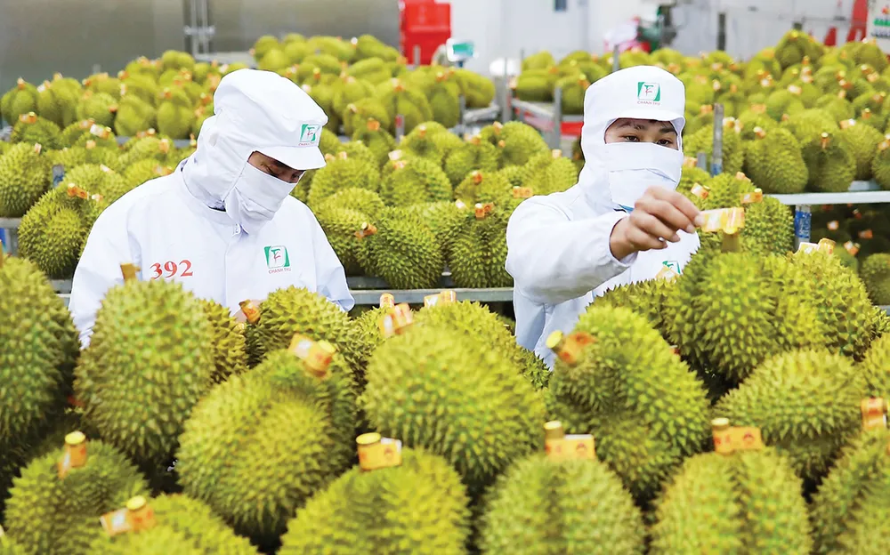 Xuất khẩu rau quả đạt 3,65 tỷ USD