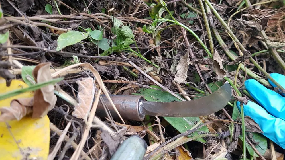 Công an tỉnh Bình Dương họp báo công bố kết quả điều tra vụ 3 người một nhà bị sát hại ảnh 2