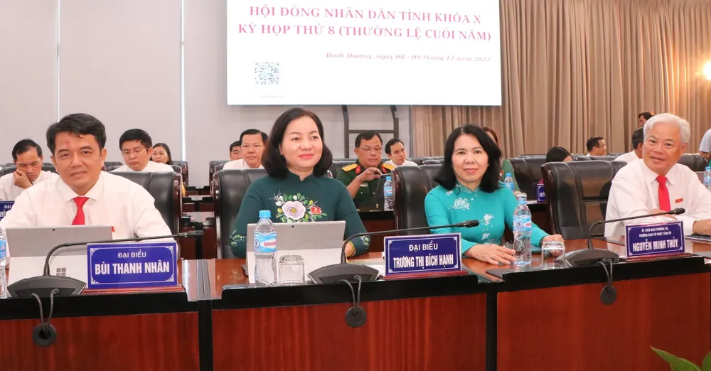 HĐND tỉnh Bình Dương: Thảo luận các giải pháp phục hồi, phát triển kinh tế - xã hội ảnh 2