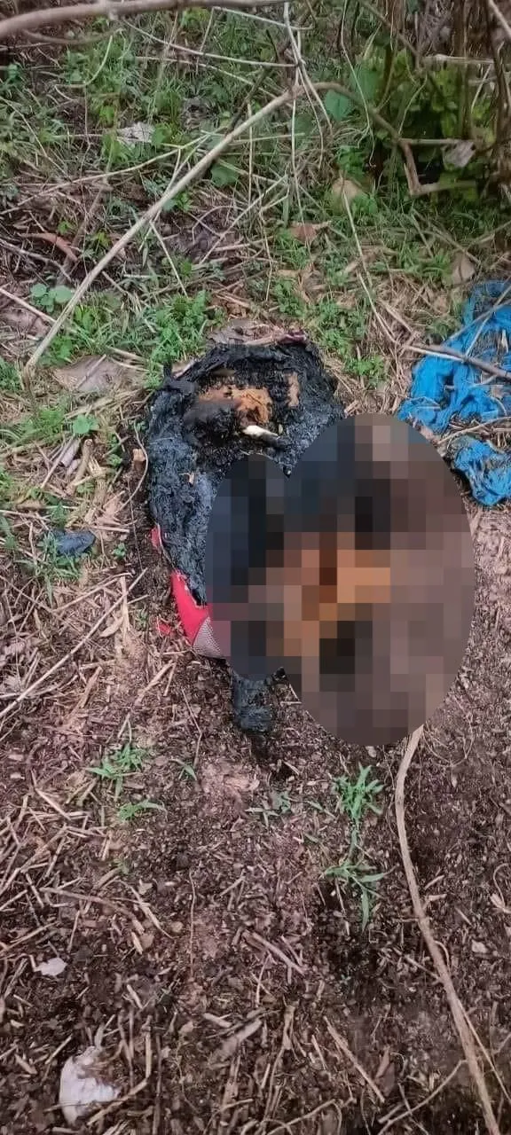 Hiện trường vụ việc Hiện trường vụ việc