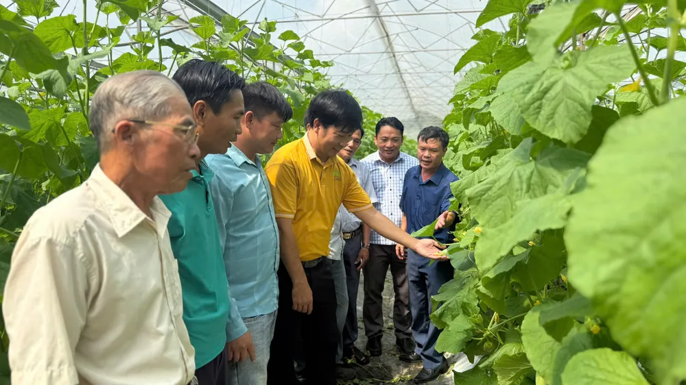 Đưa nông dân tham quan mô hình trồng dưa lưới công nghệ cao