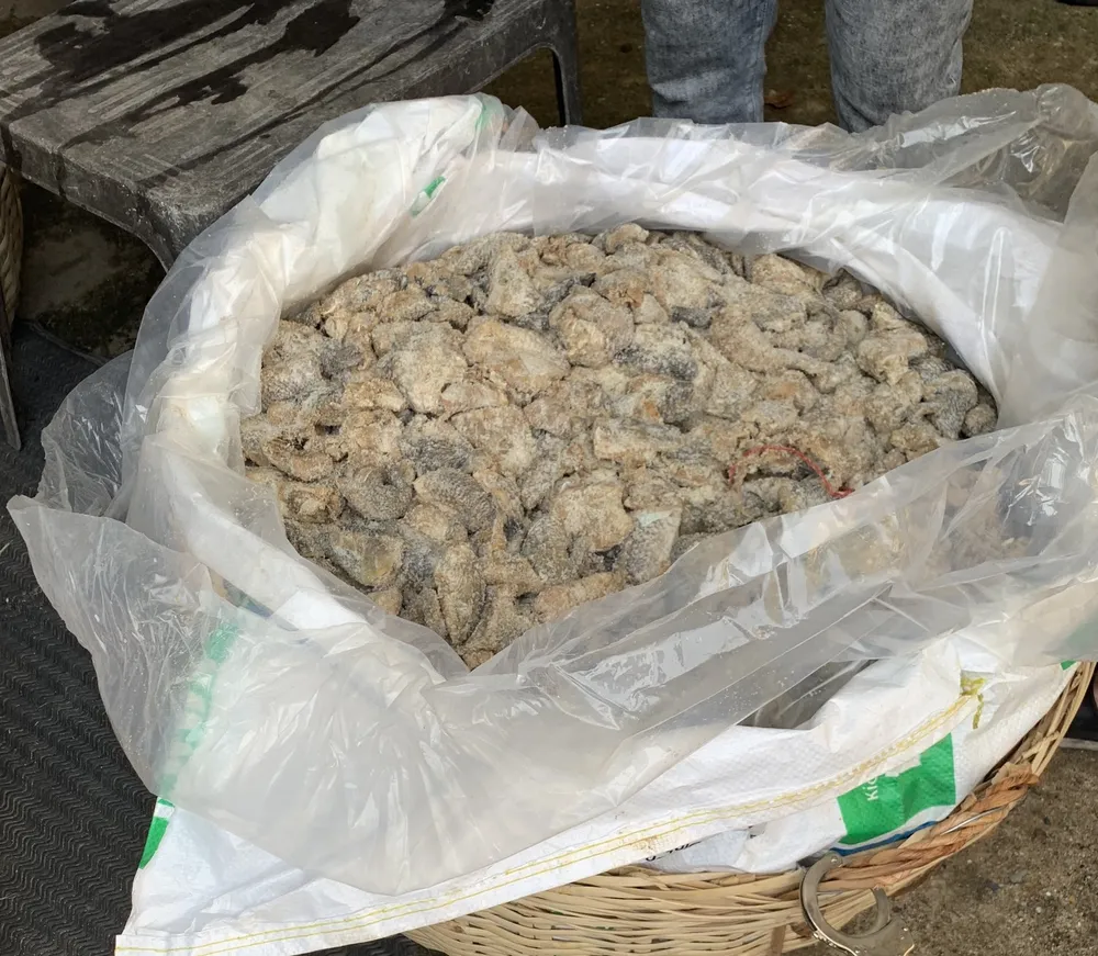 Triệt phá đường dây ma tuý gần 100kg từ Campuchia đưa vào TPHCM tiêu thụ ảnh 2