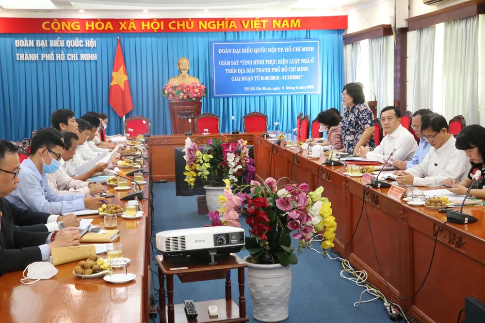 Người thu nhập thấp khó tiếp cận nhà ở xã hội ảnh 2