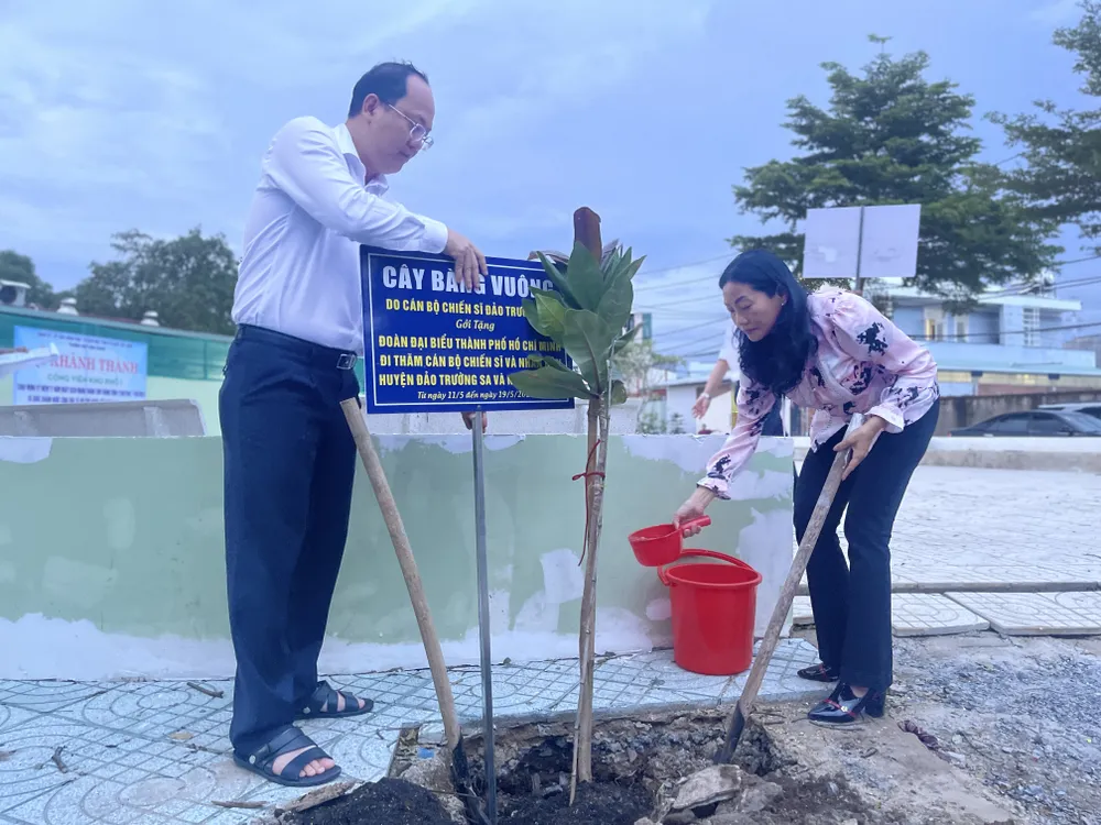 Cây bàng vuông từ Trường Sa được trồng ở khu dân cư ở TP Thủ Đức ảnh 1