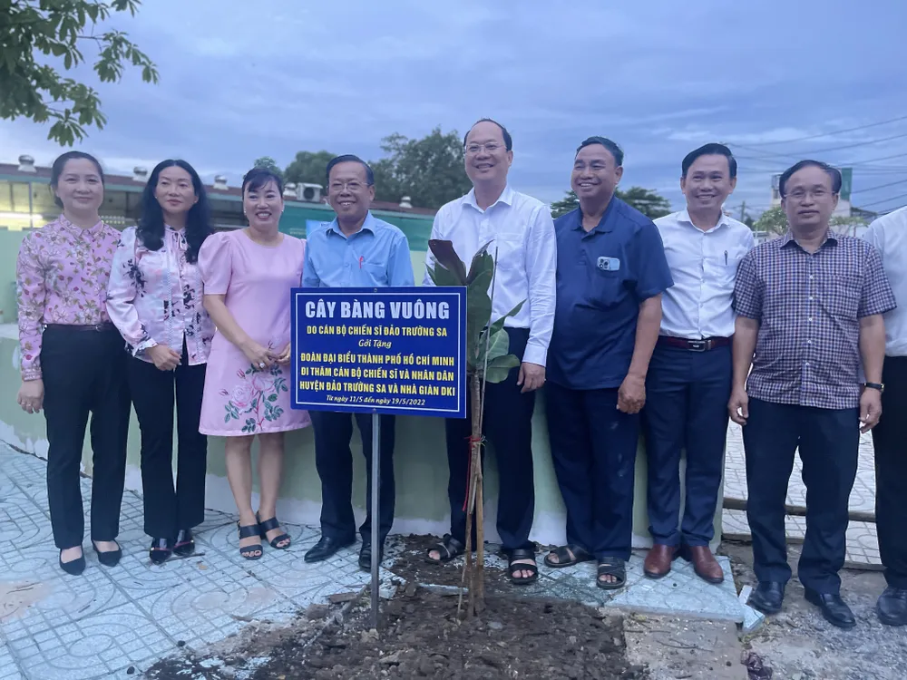 Cây bàng vuông từ Trường Sa được trồng ở khu dân cư ở TP Thủ Đức ảnh 2