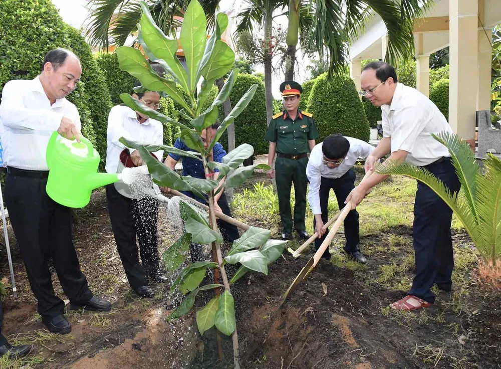 Thêm cây bàng vuông ở Trường Sa đến với huyện Cần Giờ ảnh 3