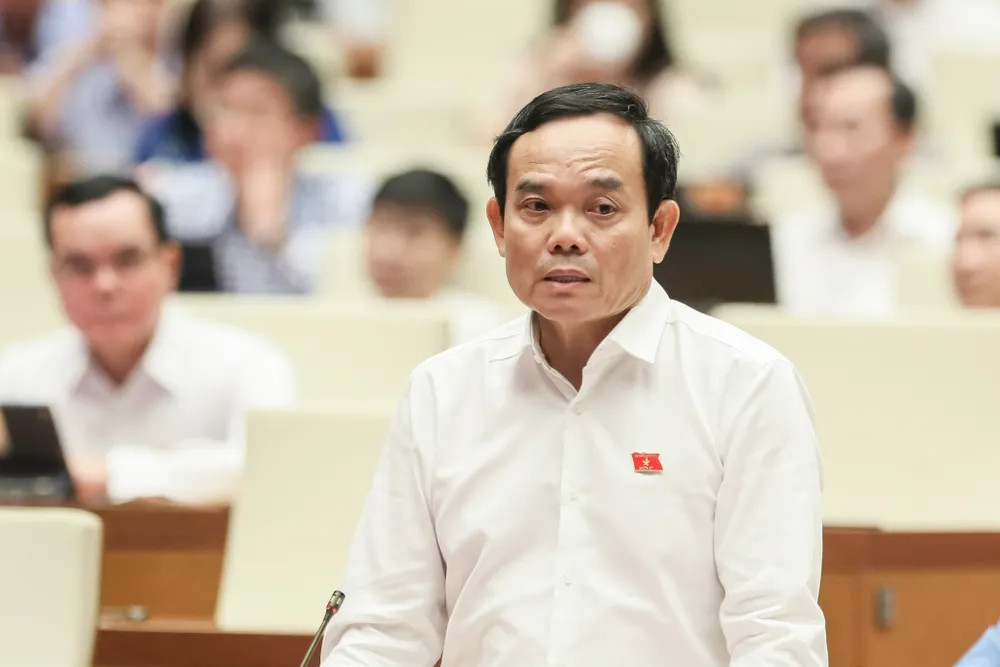 Phó Thủ tướng Trần Lưu Quang. Ảnh: QUANG PHÚC