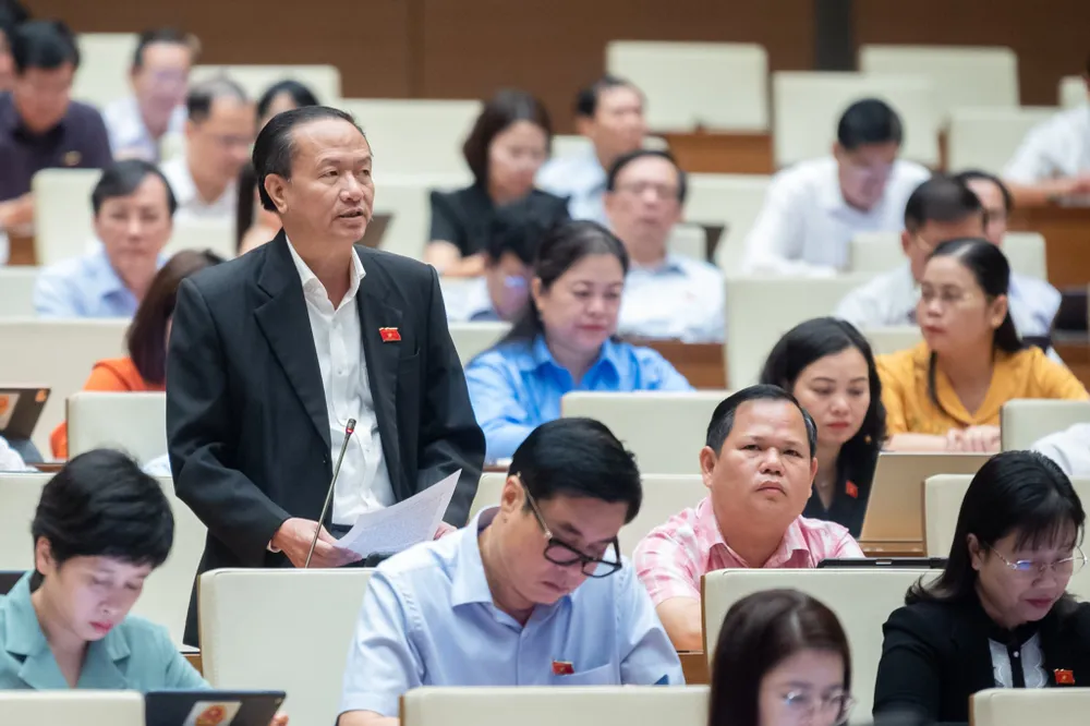 ĐB Đinh Minh Ngọc (Cà Mau)